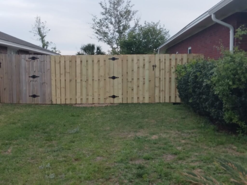 278176514_471624271423104_1867388271576142569_n