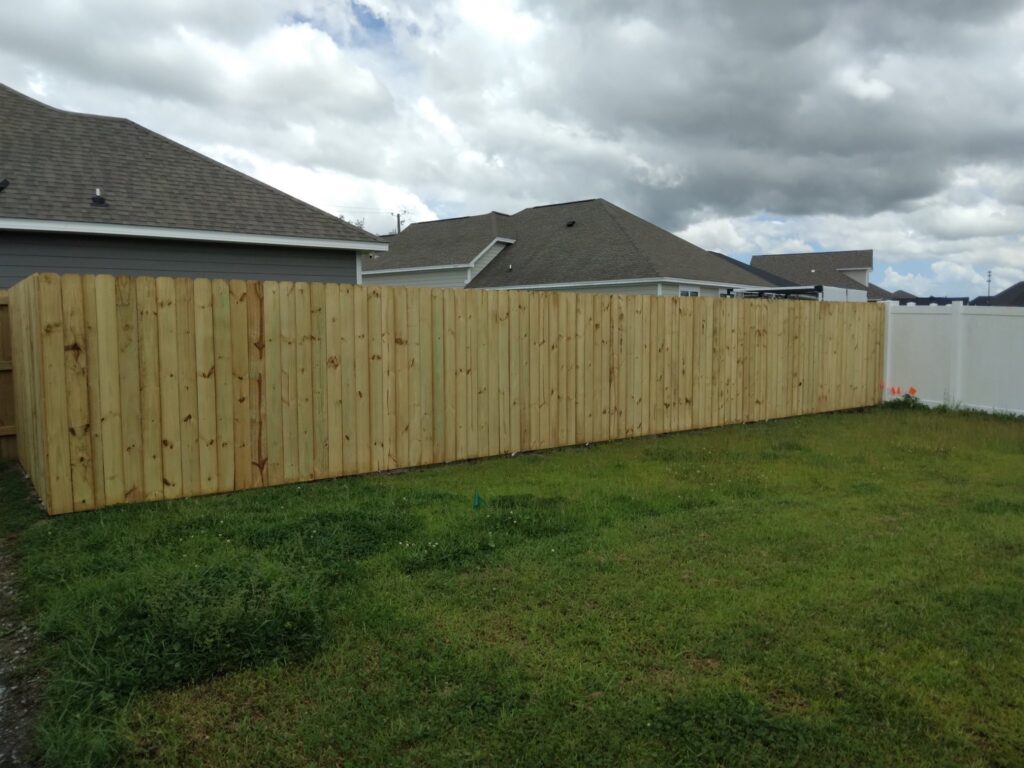 294048720_537507774834753_7945831808304599133_n