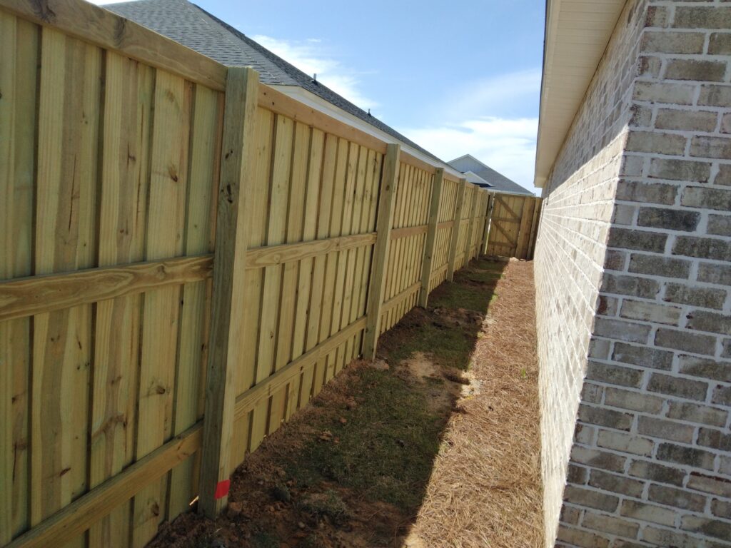 338012105_968873927823941_3323670622664705185_n